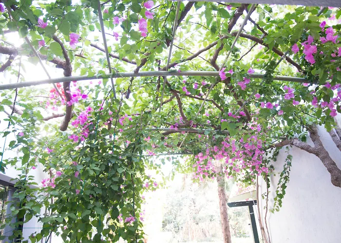 安娜玛丽亚村公寓