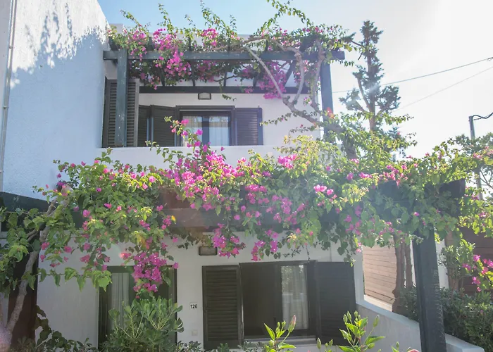 安娜玛丽亚村公寓 赫索尼索斯