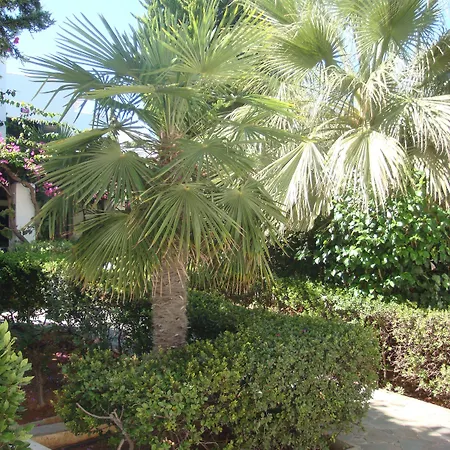 Hotell Anna Maria Village 3*