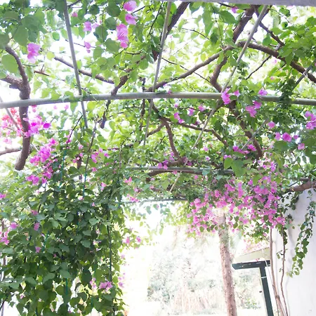 安娜玛丽亚村公寓