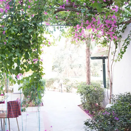 Hotell Anna Maria Village