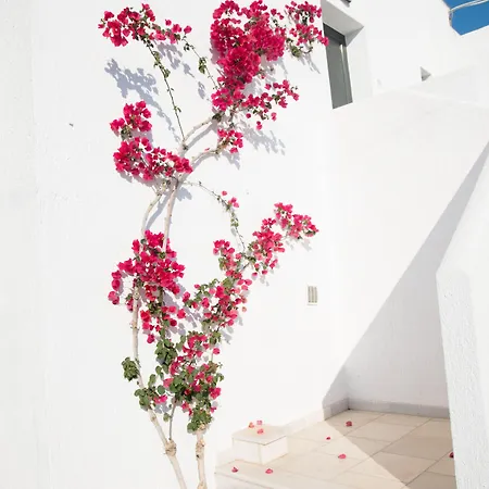 Anna Maria Village Hotell Hersonissos (Crete)