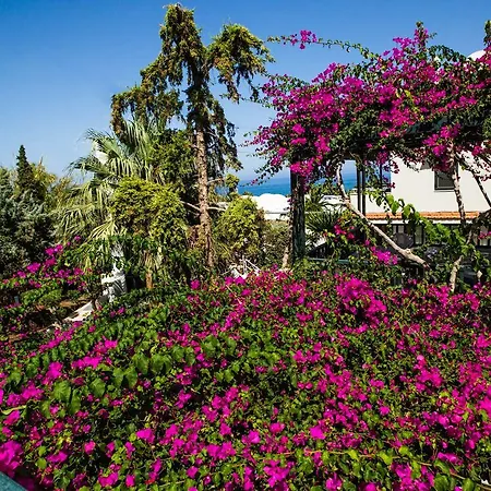 Anna Maria Village 3*