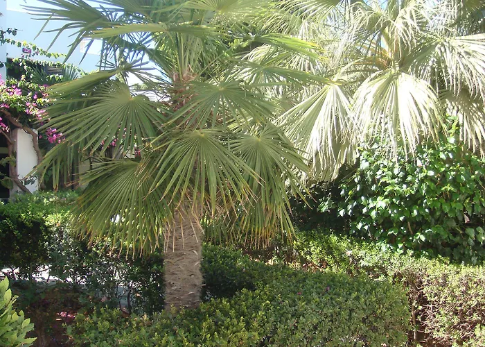 Hotel Anna Maria Village 3*