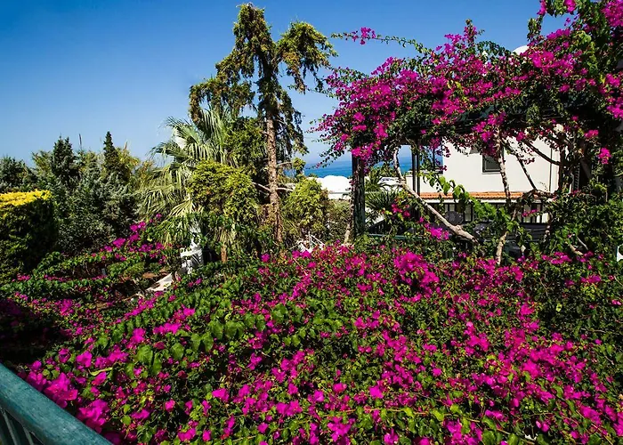 Anna Maria Village 3*