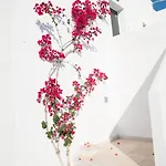 Anna Maria Village Hotel Hersonissos (Crete)