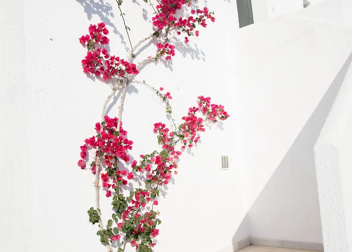 Anna Maria Village Hotel Hersonissos (Crete)